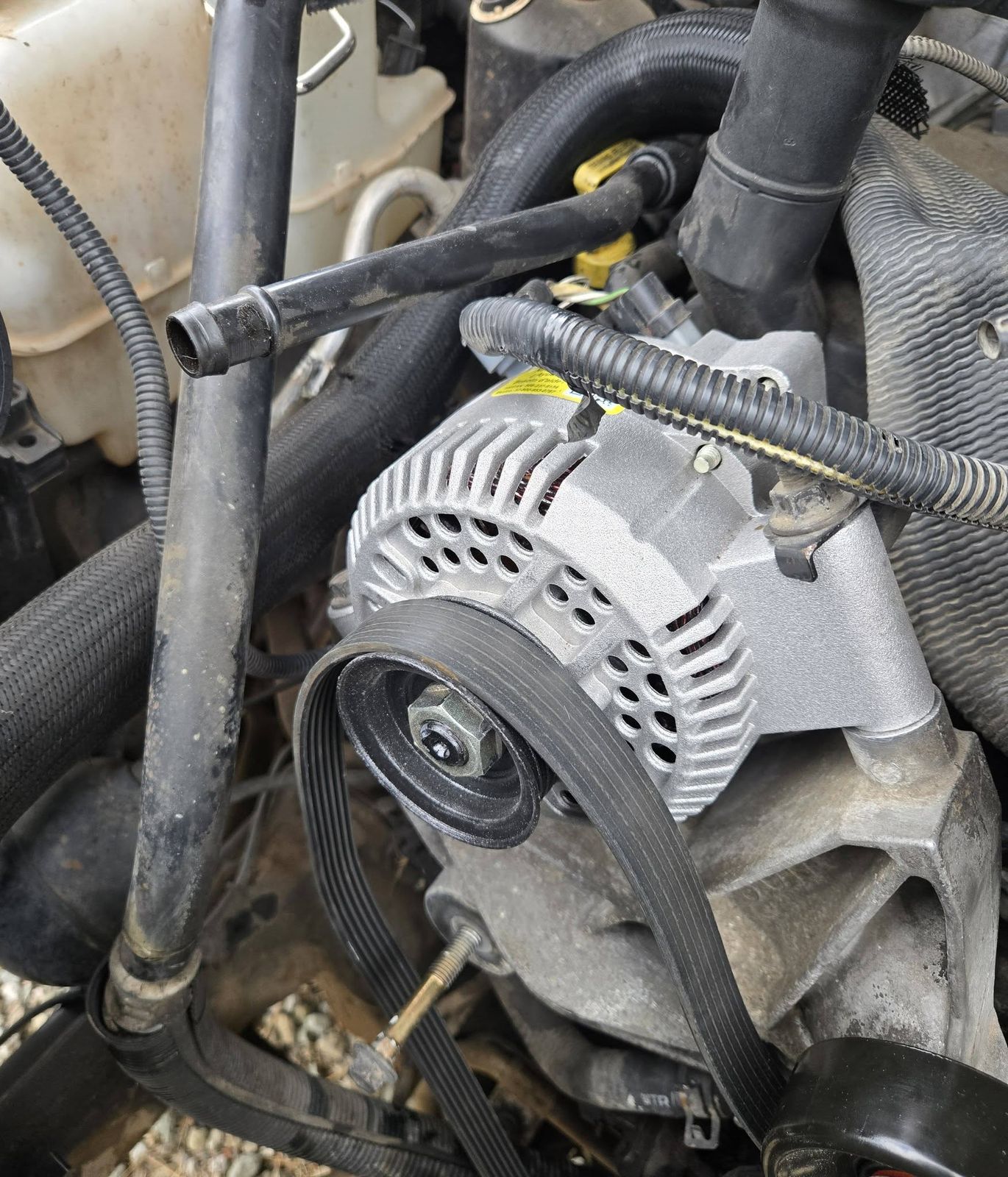 Alternator and serpentine belt on the 2003 Ford Ranger engine