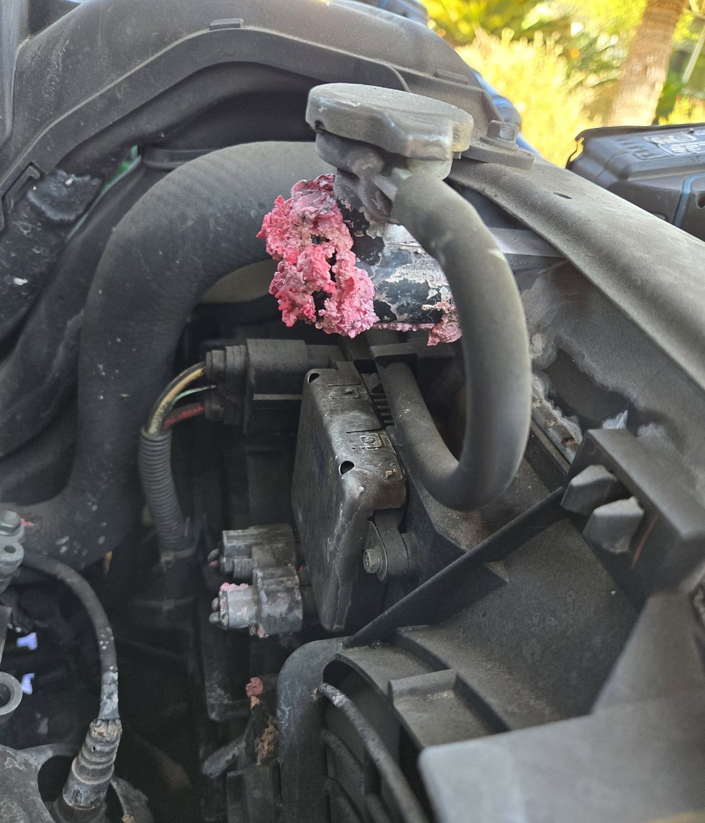Pink debris packed into an engine bay next to the coolant reservoir